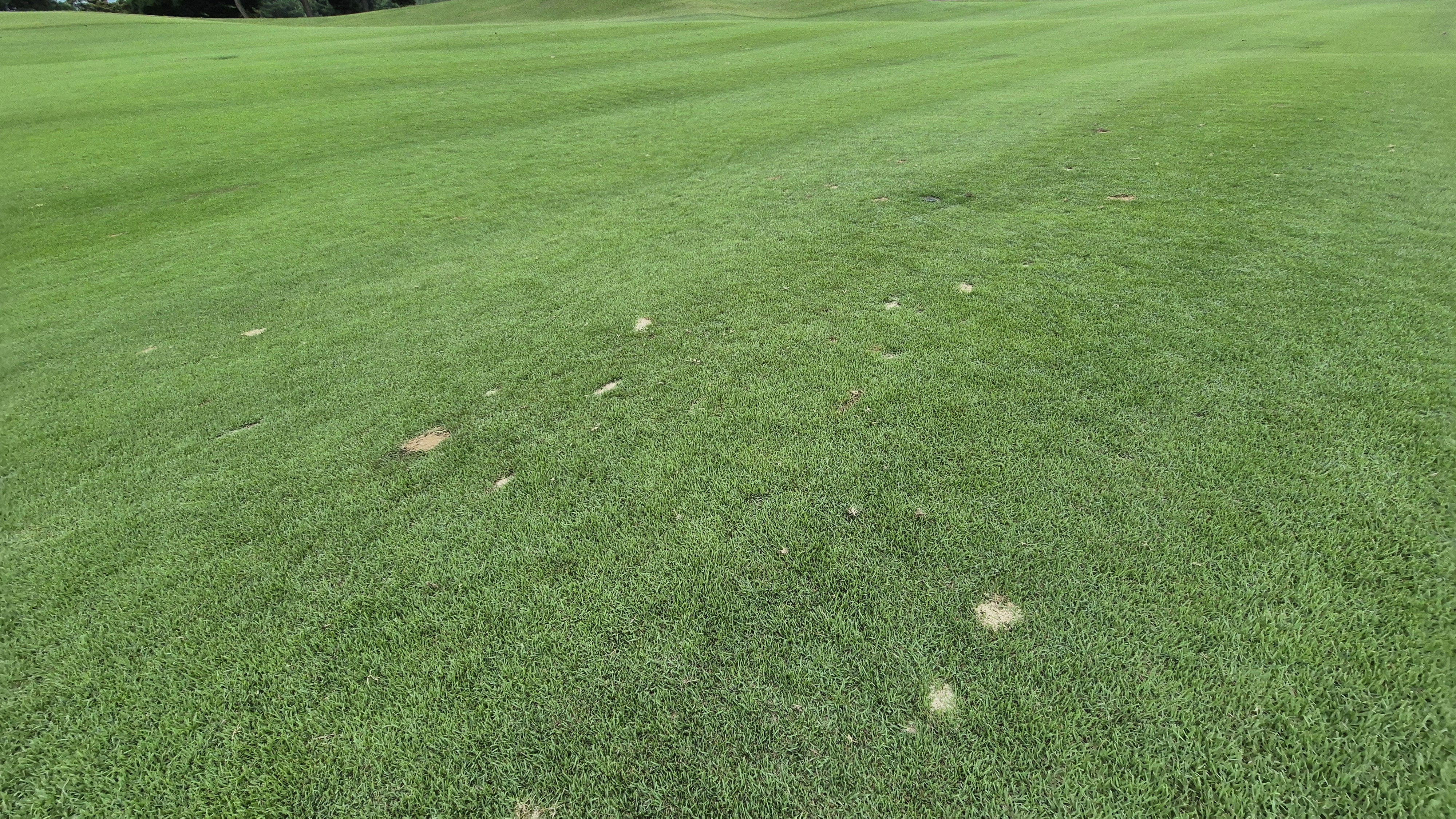 한림용인cc 다이아몬드-사파이어 코스 라운드 후기