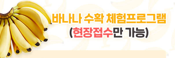함평 나비축제