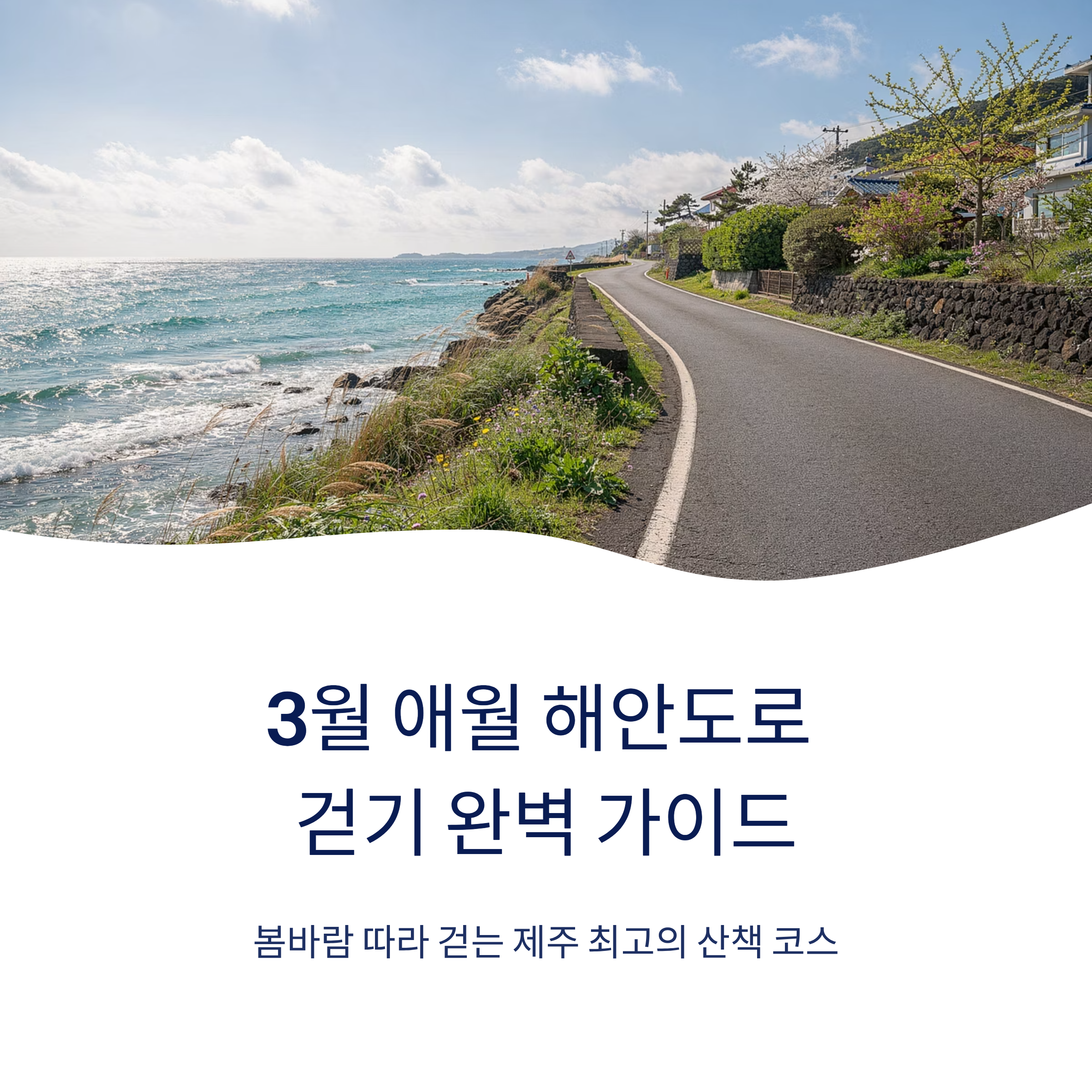 애월 해안도로 걷기 좋은 3월 날씨, 코스 완벽 정리