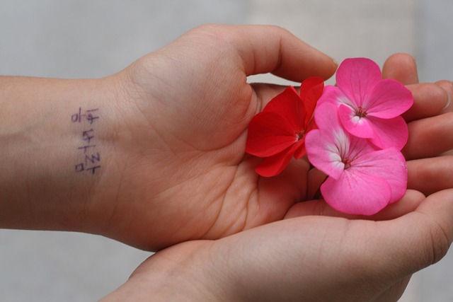 무료 폰트 다운로드 및 설치 방법