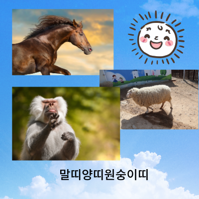 말띠양띠원숭이띠의응용