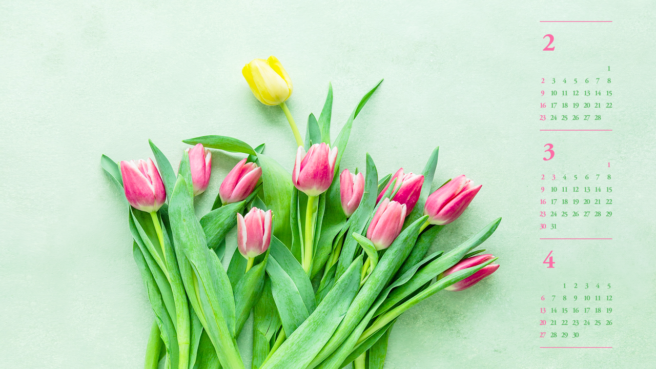 04 튤립 B - 2025년3월 노트북배경화면