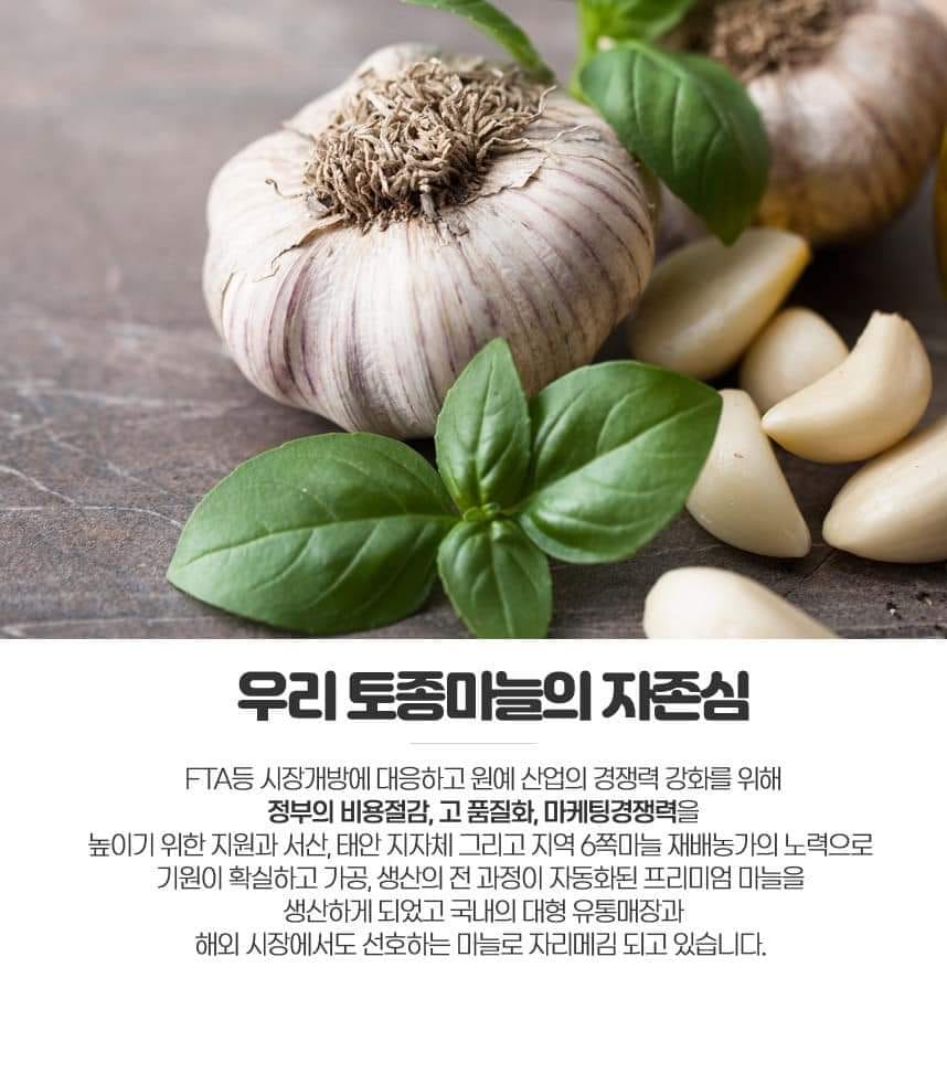 제 15회 서산6쪽마늘축제 기본일정과 프로그램 정리 나태주 한여름 한강 출연(feat문화누리카드 사용가능 및 방법 정리)