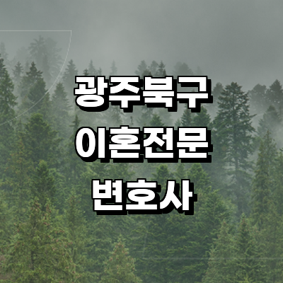 광주 북구 이혼 변호사