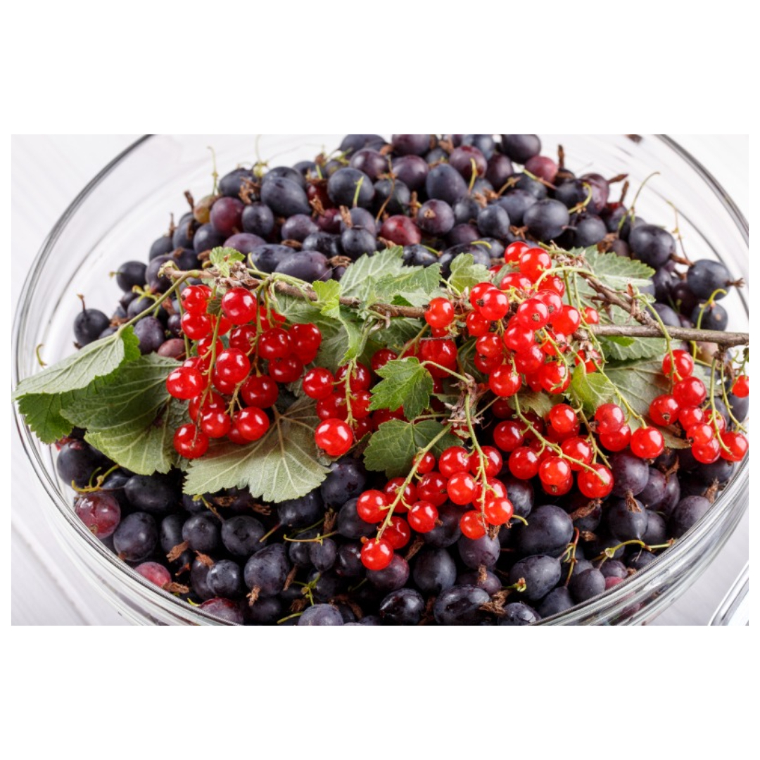 오미자와 관련된 사진입니다.