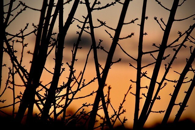 2026년 해돋이 명소 추천