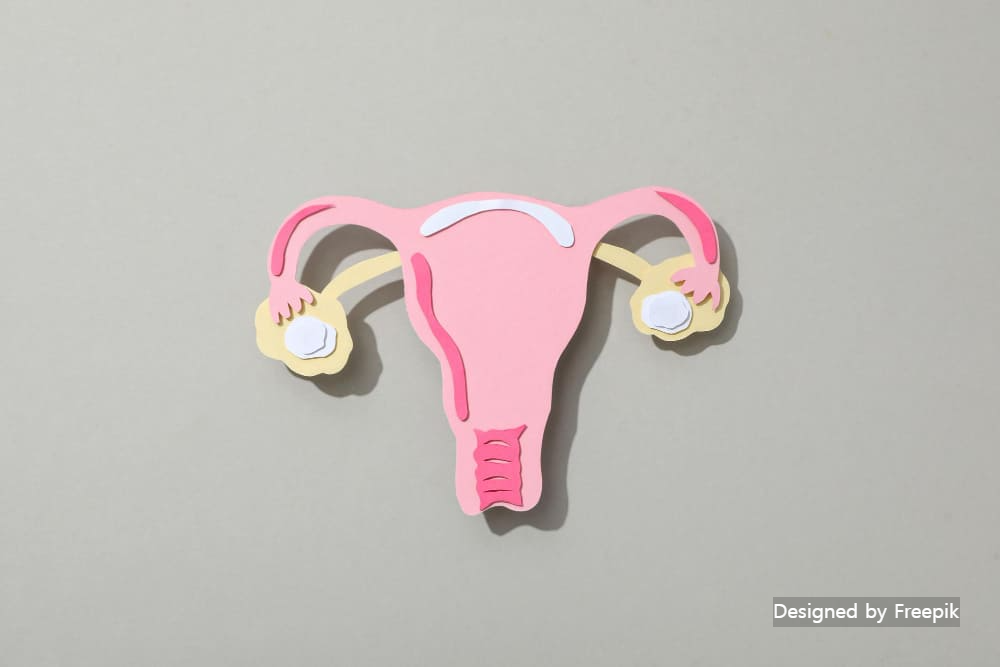 반응성 세포 변화와 자궁경부암 차이