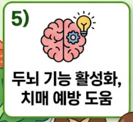 표고버섯 효능