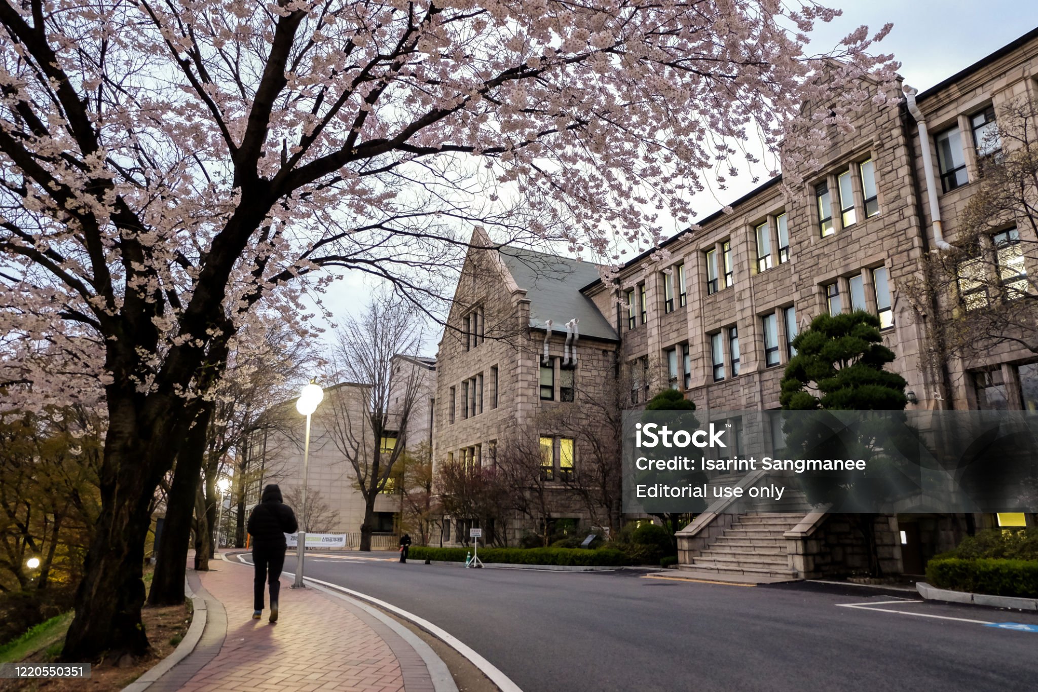 대학교 입시일정