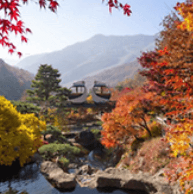화담숲 단풍
