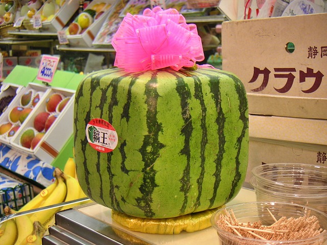 비싼 과일, 네모난 수박, 매일꿀정보