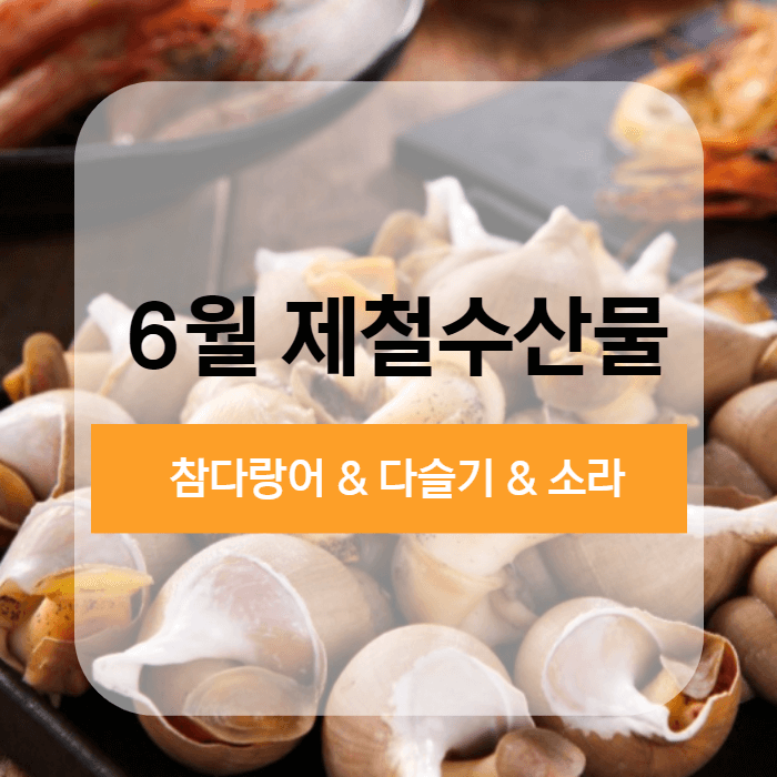 6월제철수산물