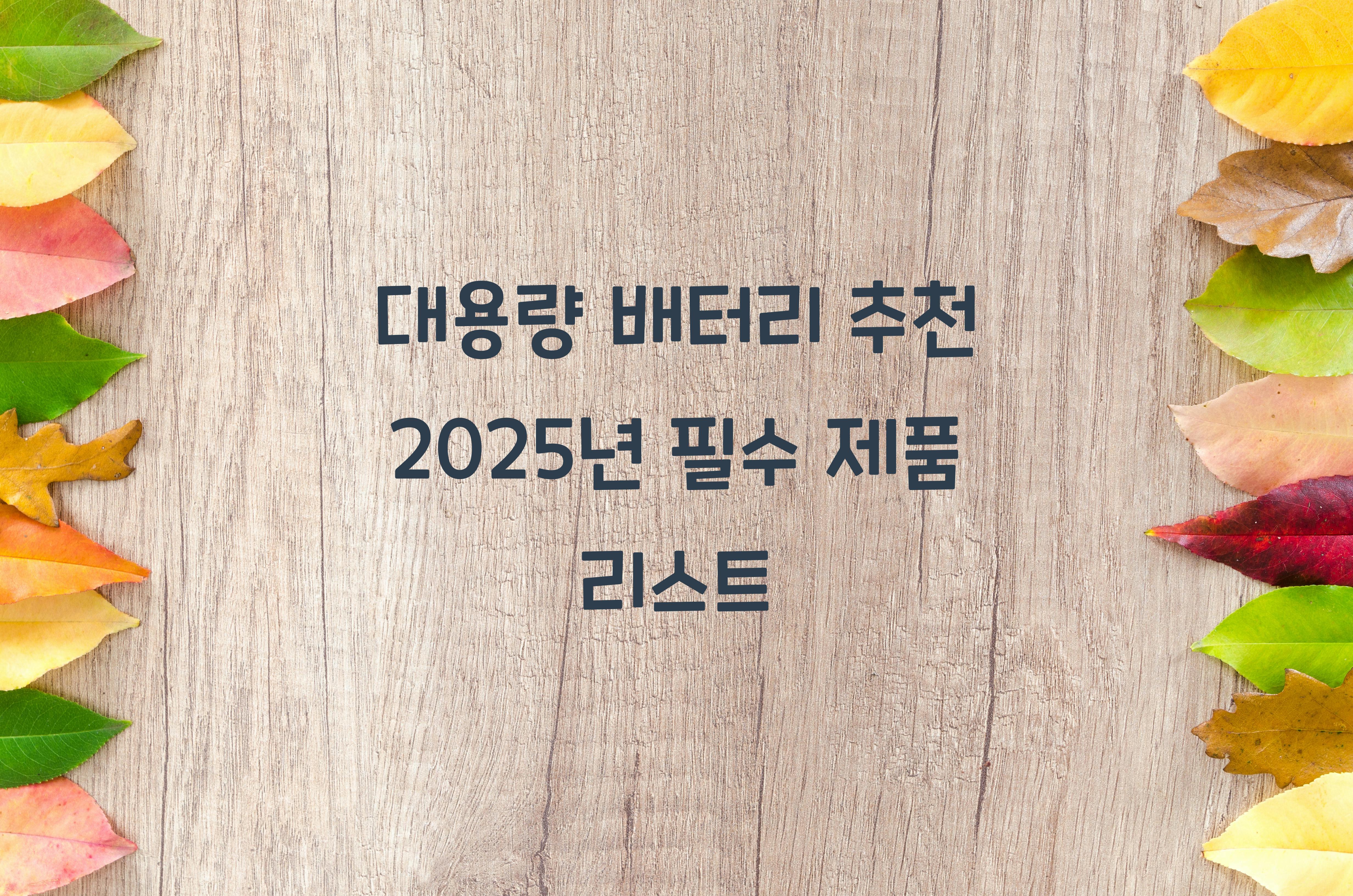 대용량 배터리 추천