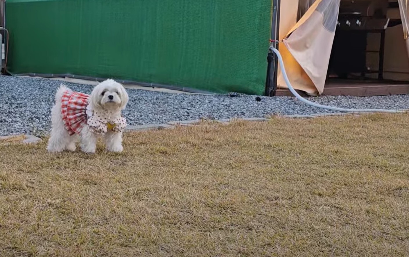 그랜드 바베큐장 