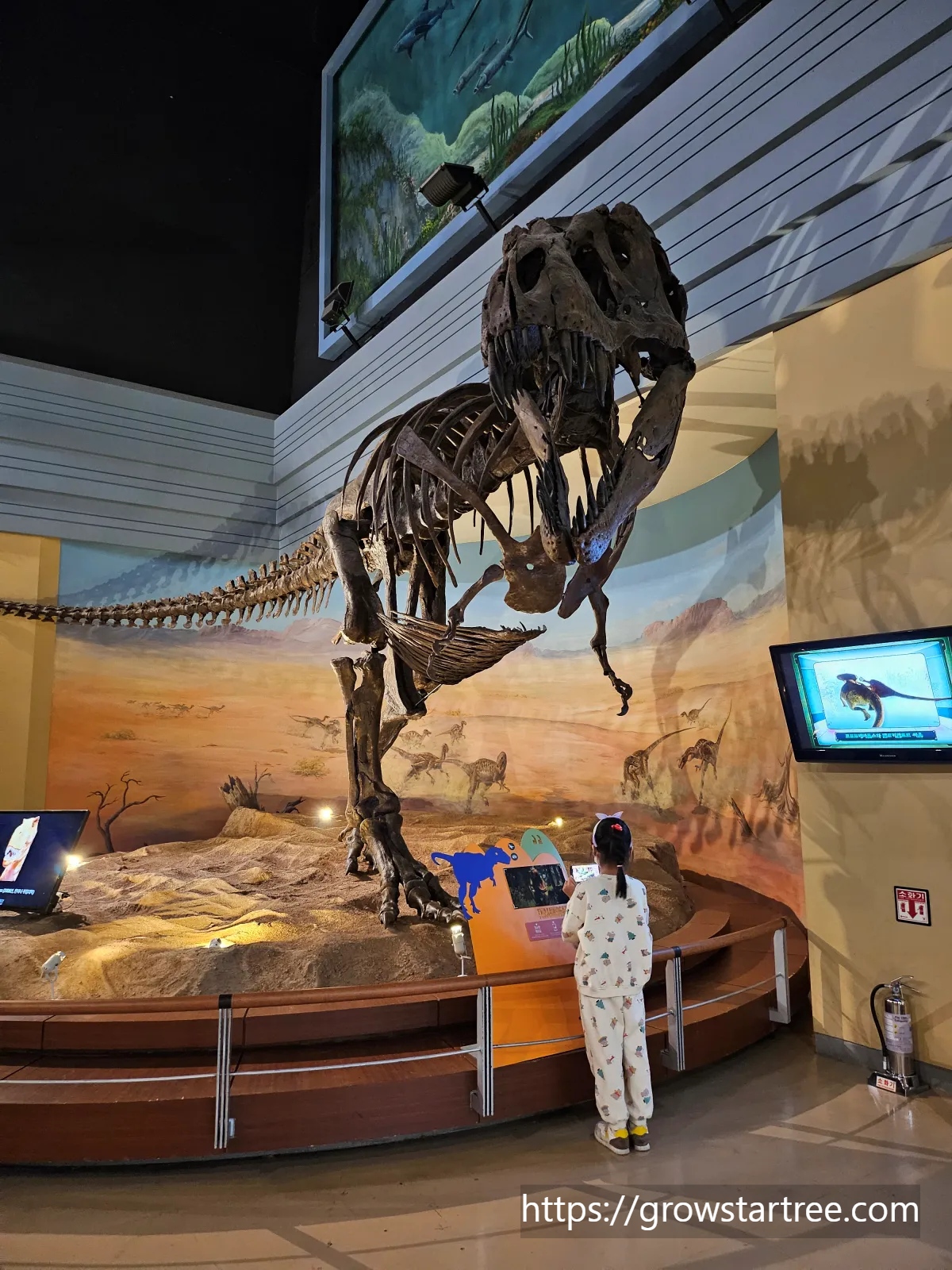 서대문자연사박물관 2층 생명진화관 티라노사우르스