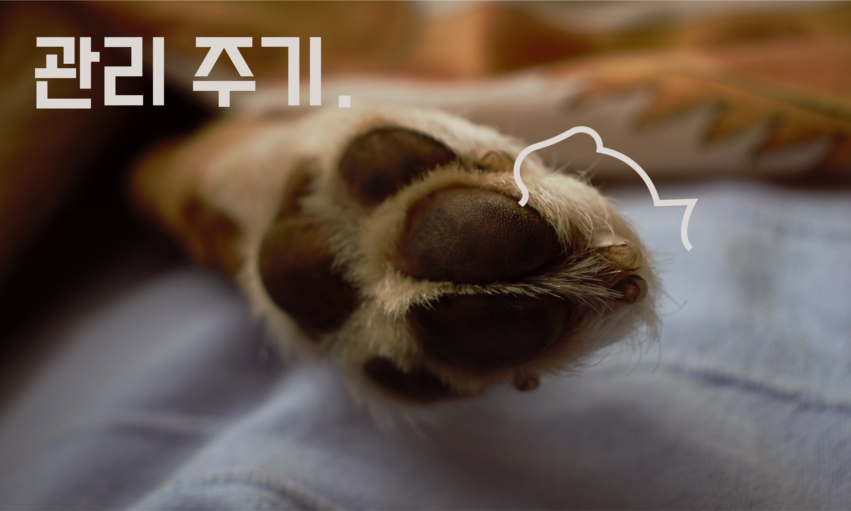 강아지-발톱