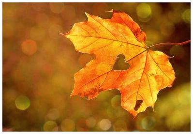 80년대 노래 모음