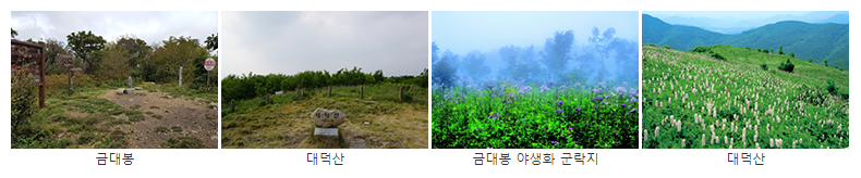 태백산초보자코스