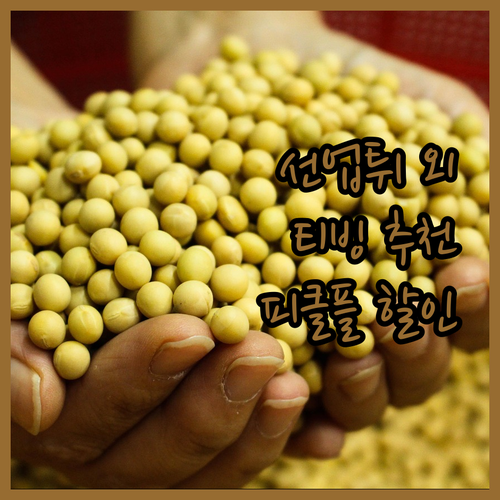 선재 업고 튀어 외 티빙 추천작 피클..