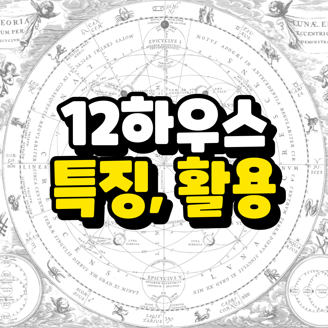 12번 하우스와 관련된 사진