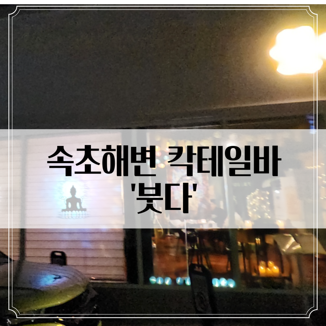 속초 칵테일바 추천 '붓다' - 수행은 못해도 술 수행은 가능