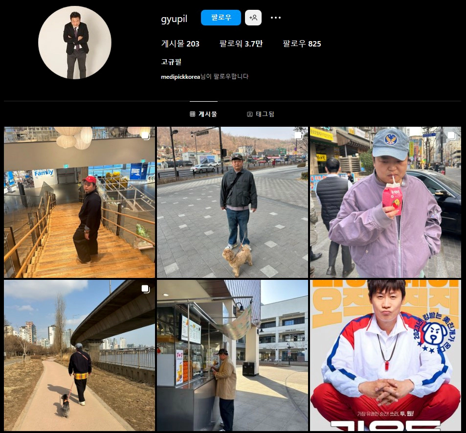 고규필 인스타그램