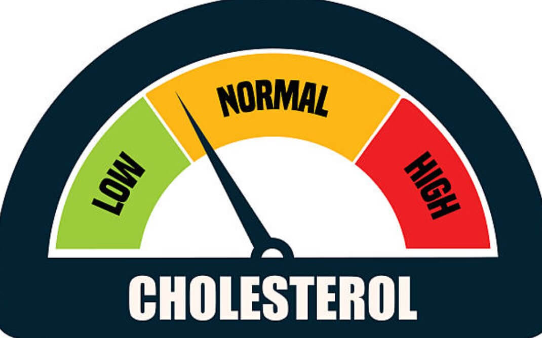 콜레스테롤남성수치