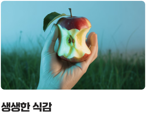 '알약'이 아닌 '식사'를 통한 즐거움