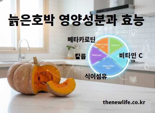 늙은 호박에 함유된 베타카로틴, 칼륨, 식이섬유, 비타민 C 등 주요 영양성분을 시각적으로 표현한 이미지