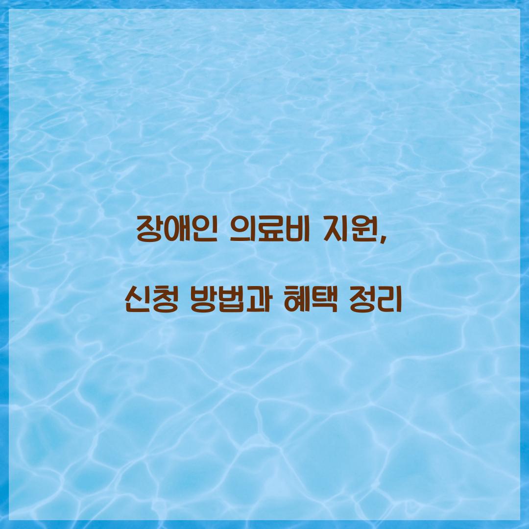 장애인 의료비 지원