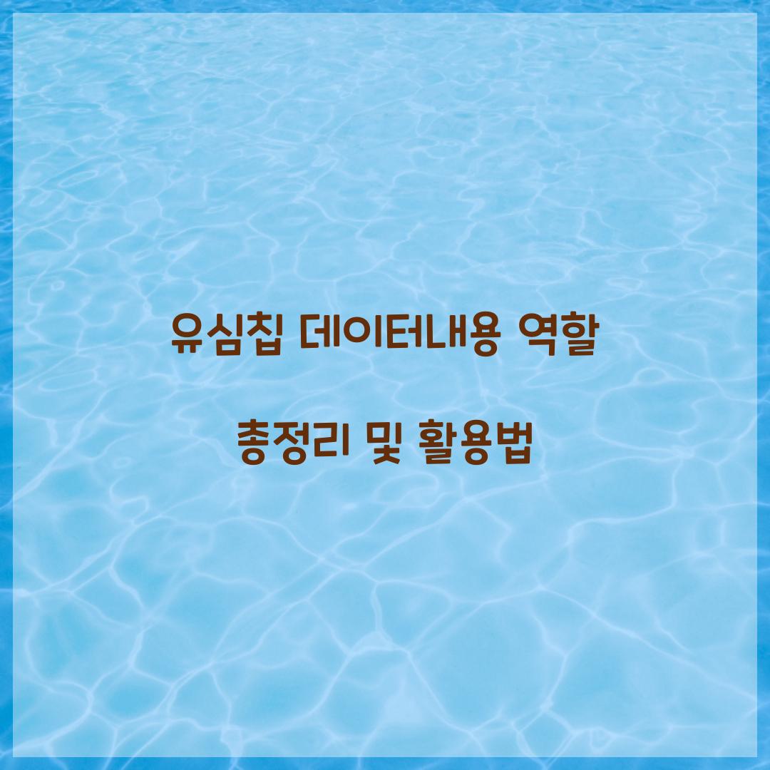 유심칩 데이터내용 역할