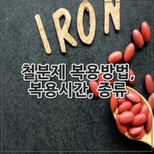 철분제 복용방법, 복용시간, 종류