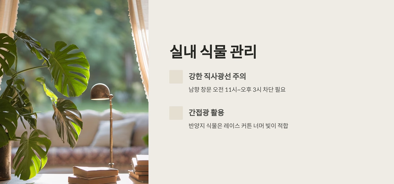 실내 식물 관리