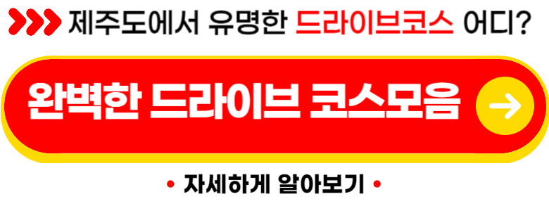 제주도 렌터카 비용 가격 할인 비교