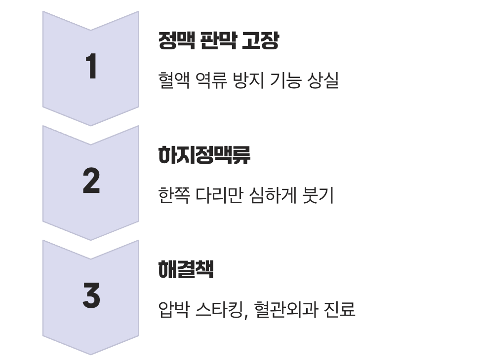 5. 혈액순환의 고속도로가 막혔을 때 (혈관 문제)