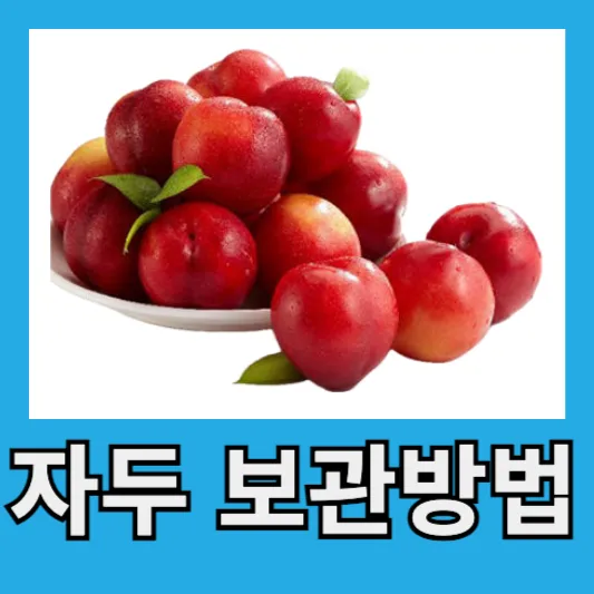 자두 보관방법