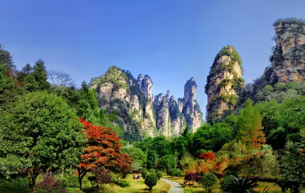 붉은-단풍과-웅장한-봉우리-그리고-맑은-하늘이-어우러진-가을-장가계