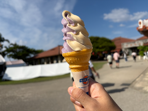 오픈탑 버스로 즐긴 오키나와 슈리성 반나절 투어 후기!