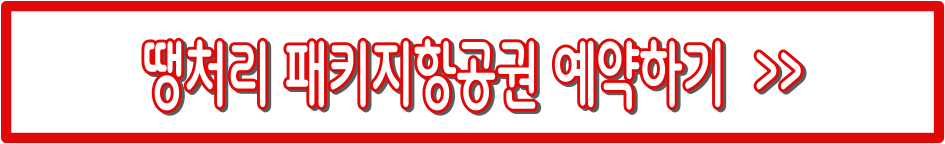 저가항공권 예매 총정리