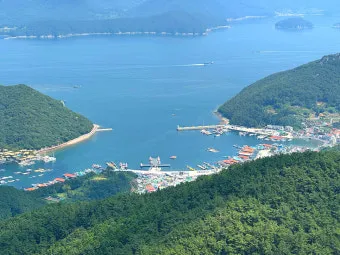 통영 맛집 추천 현지인 강추 해산물 전문점 소개_8