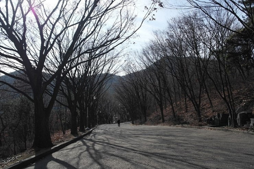 인천 겨울 여행 명소, 인천대공원·소래습지·계양산·강화고려산