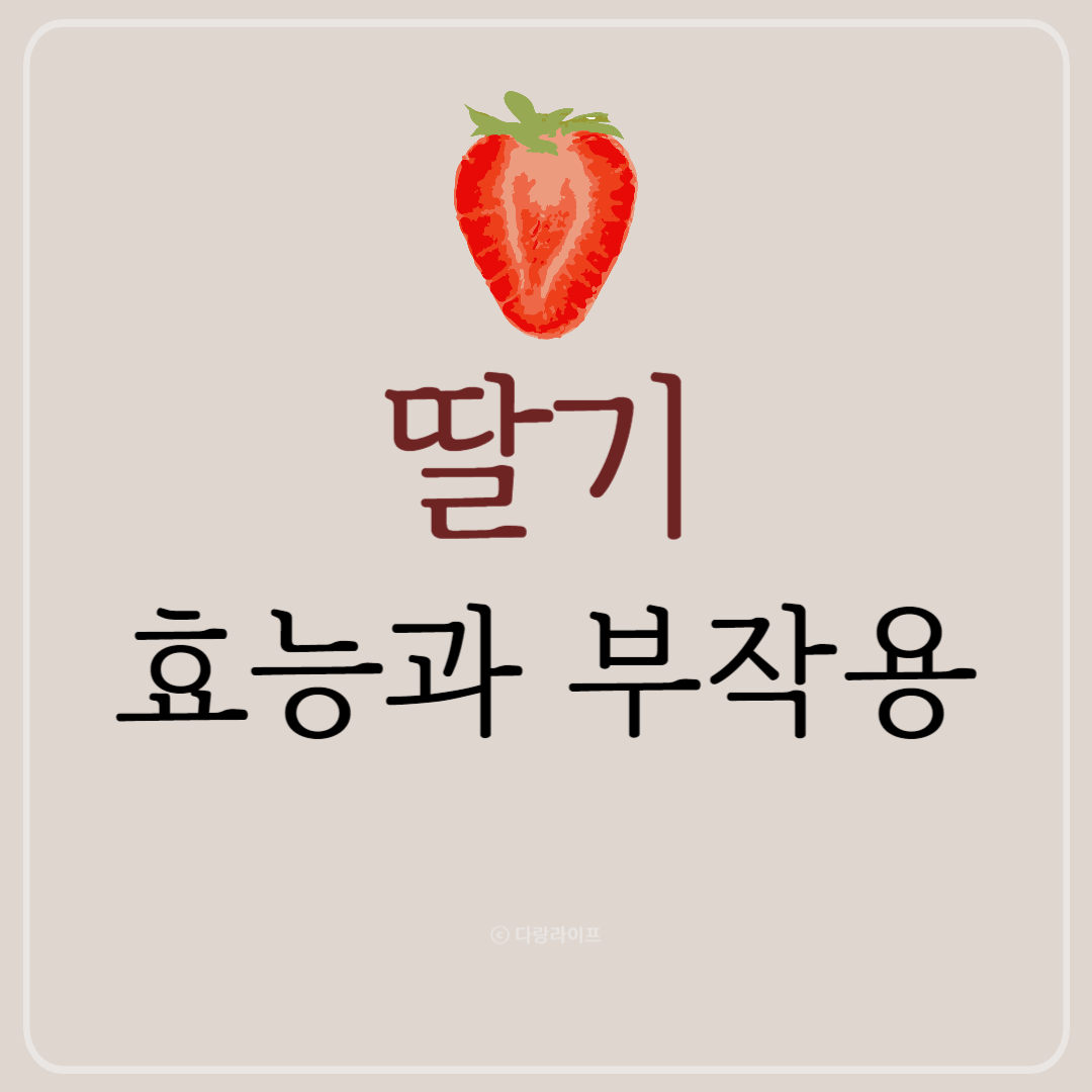 딸기 효능 부작용 딸기효과 좋은점