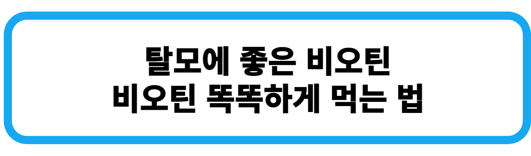 탈모에 좋은 비오틴 비오틴 똑똑하게 먹는 법