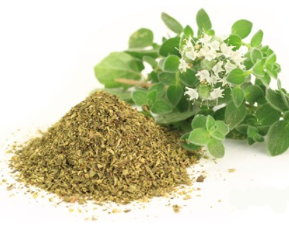 오레가노의 섭취 방법