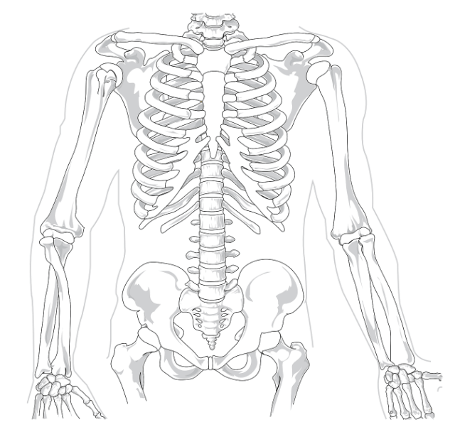척추관 협착증 치료가 실패하는 이유 3가지