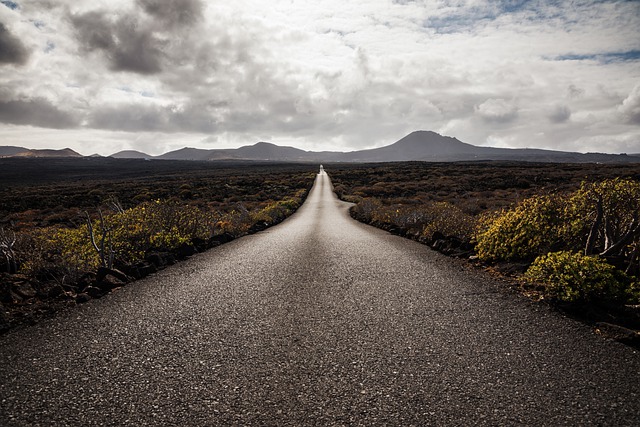 세종시-공주시 운행 광역 BRT 개발 계획4