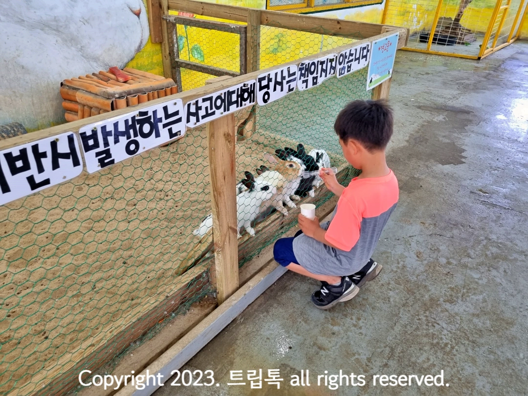 토끼에게 당근을 주는 아이