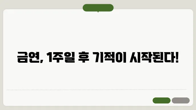 금연후 신체변화