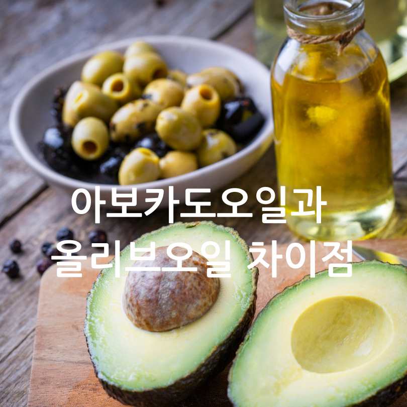 아보카도오일과 올리브오일 차이점