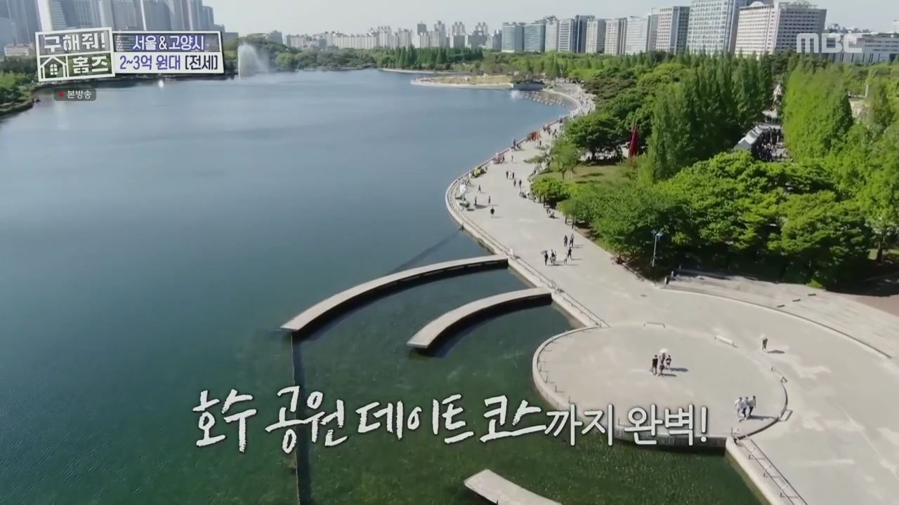 구해줘홈즈 고양시 일산서구 대화동 사랑의 대화 하우스 매물 가격 및 구조 인테리어 리모델링 최종선택 소개